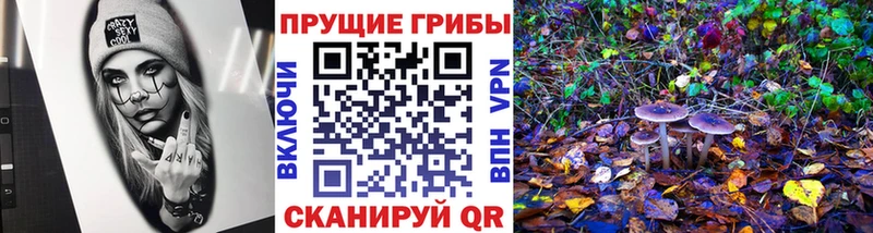 Купить  Яровое  Галлюциногенные грибы прущие грибы 